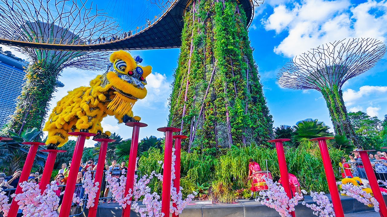 Lion Dance at Gardens by the Bay 新加坡天鷹龍狮学院 at Supertree Grove