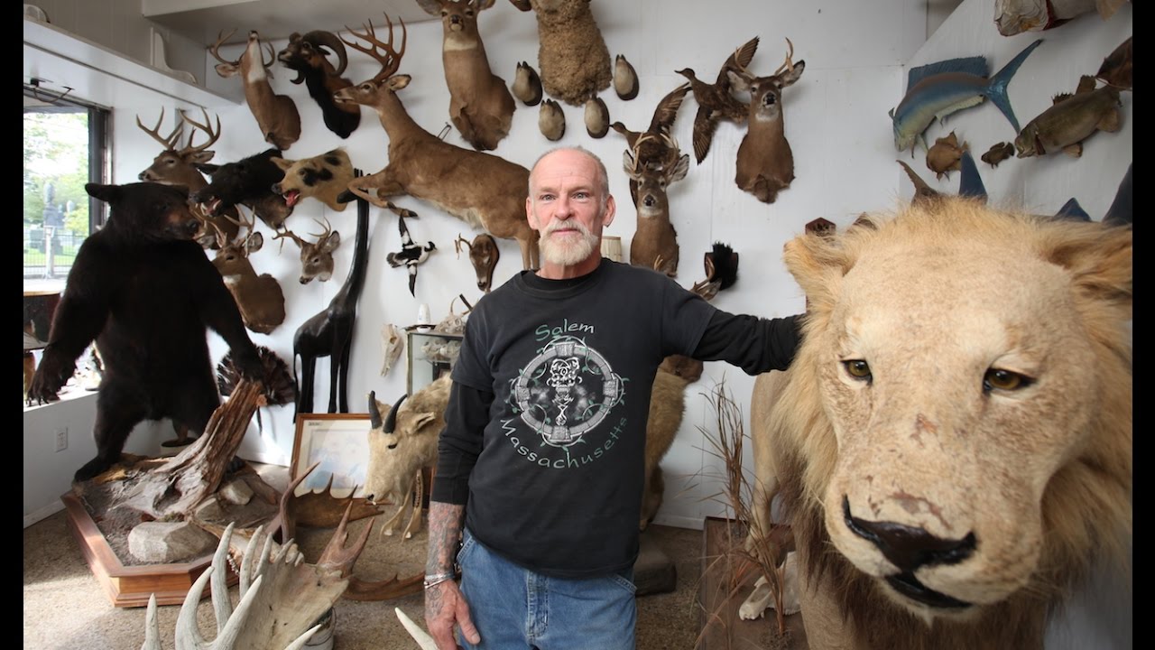 The Last Taxidermist In New York