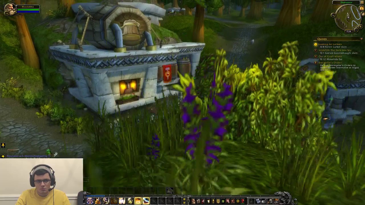 Laid Back WoW - LEVELING DWARF PALLY