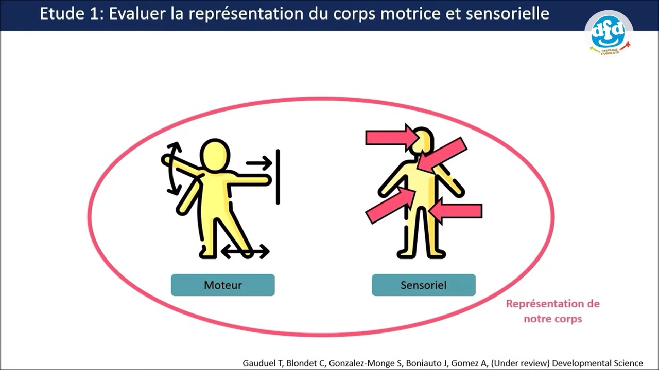 Alice Gomez,« Comprendre les difficultés de représentation du corps des enfants dyspraxiques ...  »