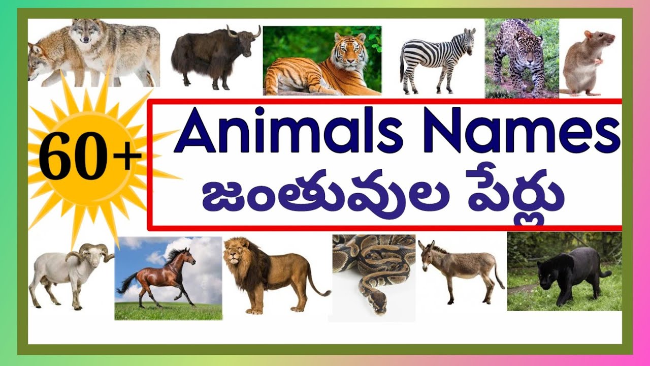 Names of Animals with images /జంతువుల పేర్లు/#animalsname @Lightning minds