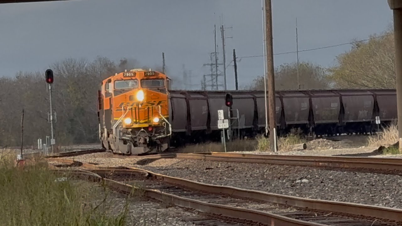 BNSF 7905 leading Grain hoppers | Rosenberg, TX | Third Street |