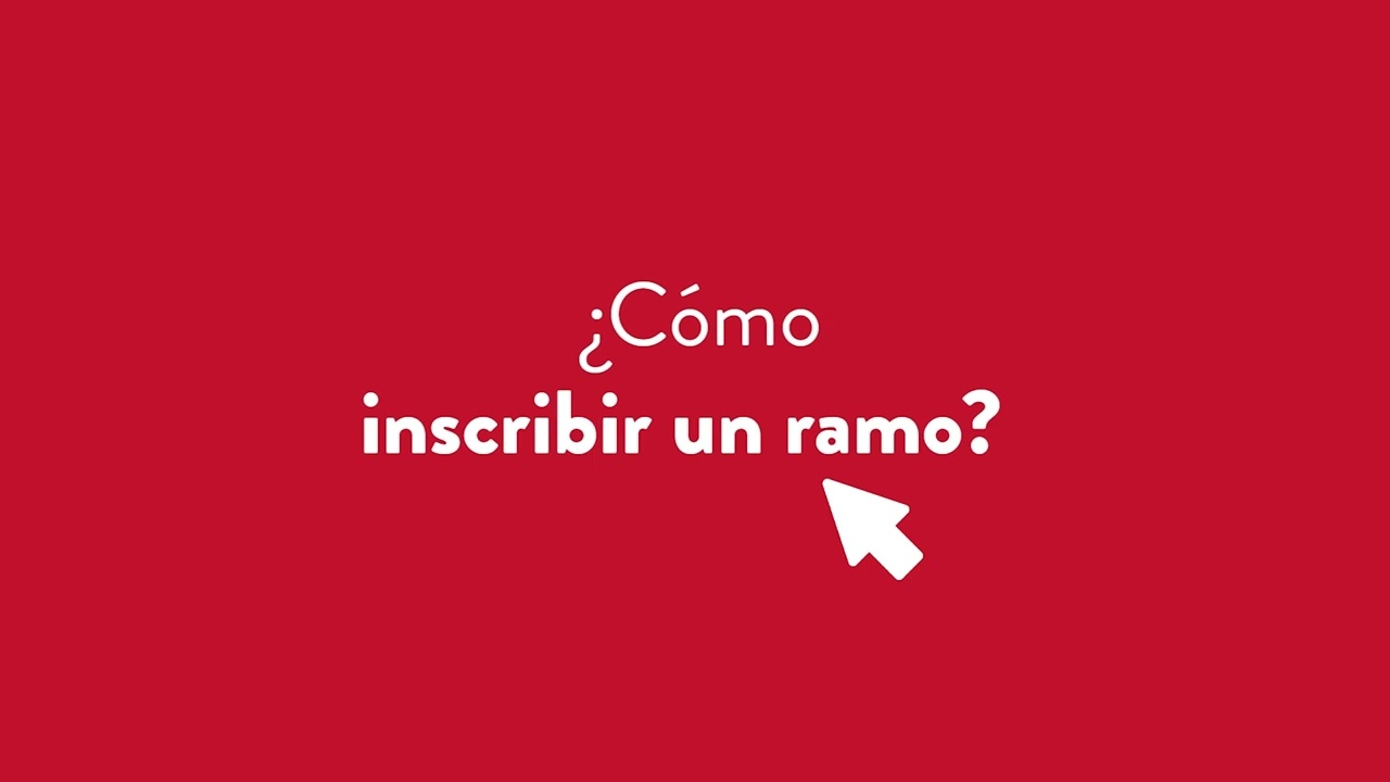 Toma de Ramos UDP