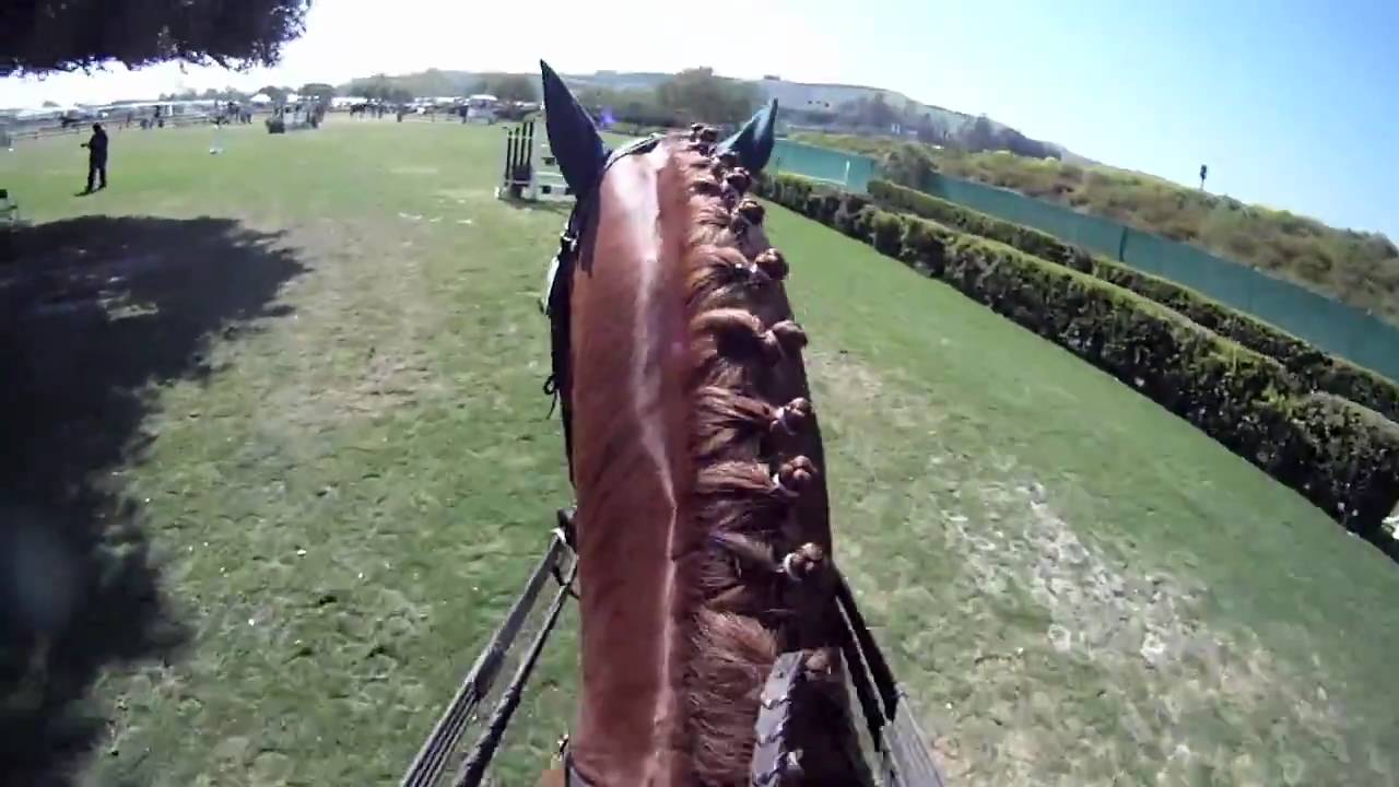 GoPro: Horse Show Jumping