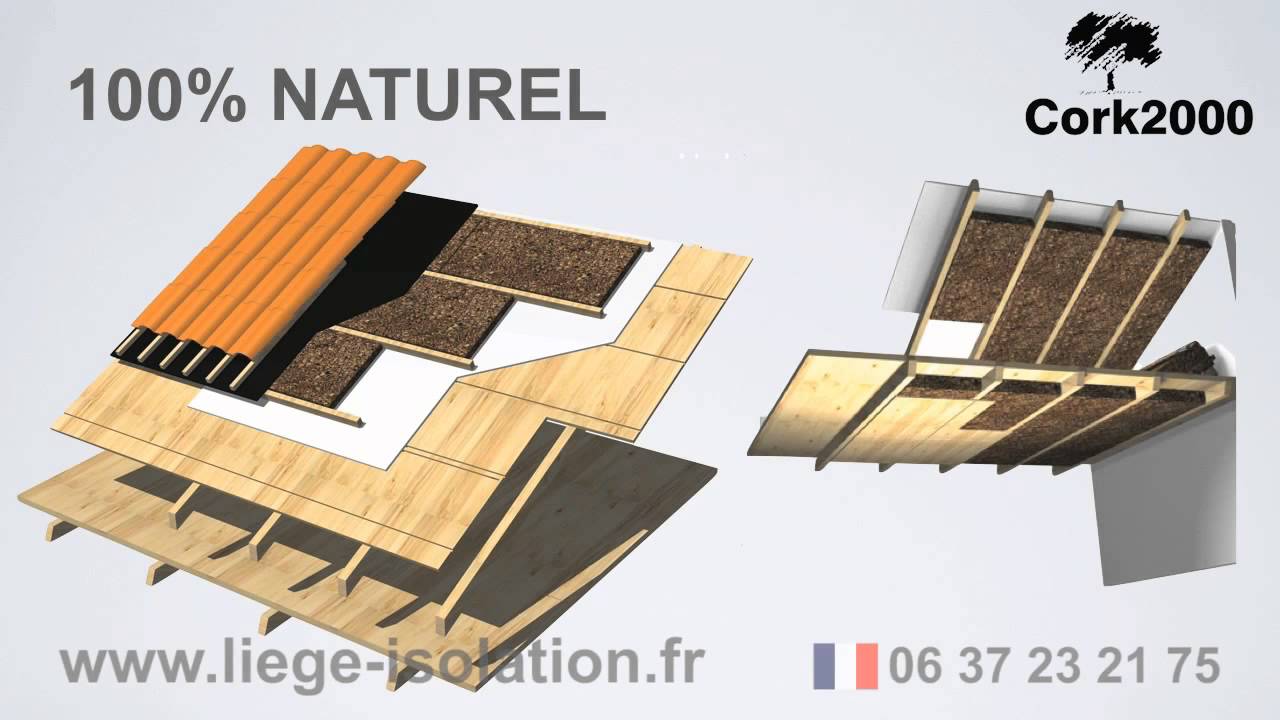 ISOLATION ACOUSTIQUE. Isolation acoustique pour maison