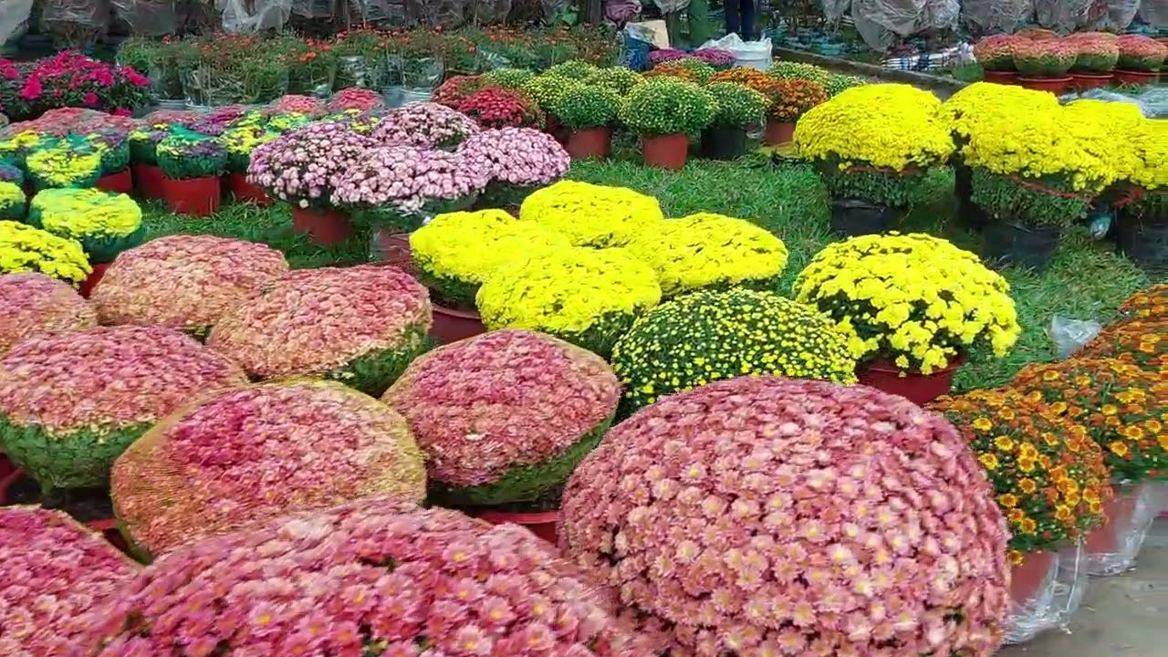 Flower Festival, Le Van Tam Park, HCMC, Vietnam 