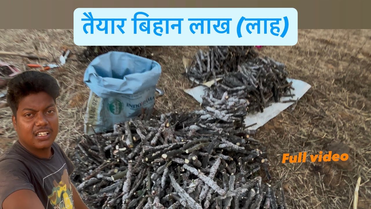 6 हजार से 1 लाख का मुनाफा //लाह खेती से //कैसे ??🤔 lahvlog #lah #lakh #lakhvideo #youtuber #video #