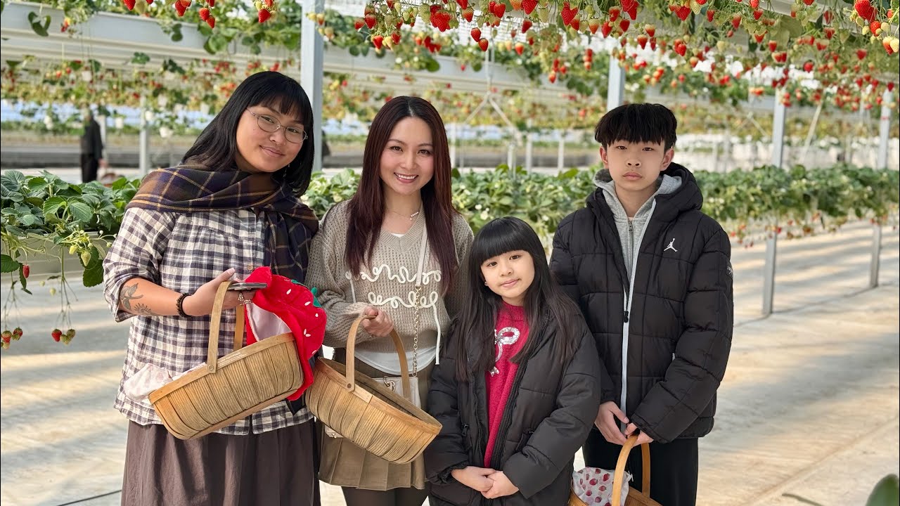 Better Strawberry 🍓 🍓 🍓 .  Strawberry Picking Experience.  March 7, 2026