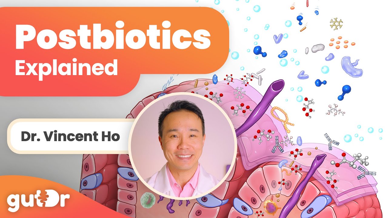 What Are Postbiotics? | GutDr Mini-Explainer