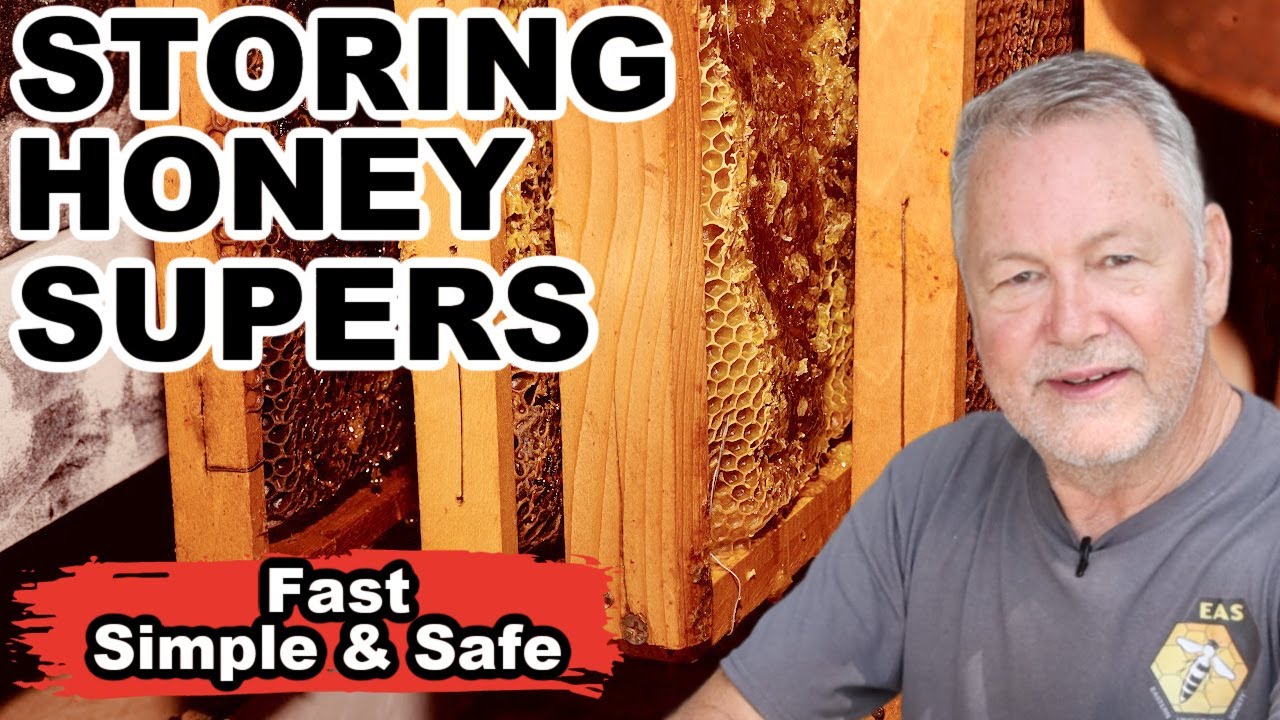 Beekeeping: How To Store Honey Supers Over Winter