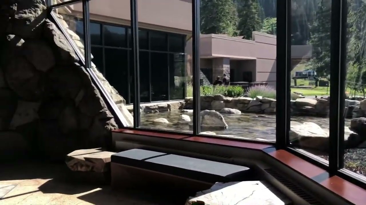 Everline resort and Spa,California