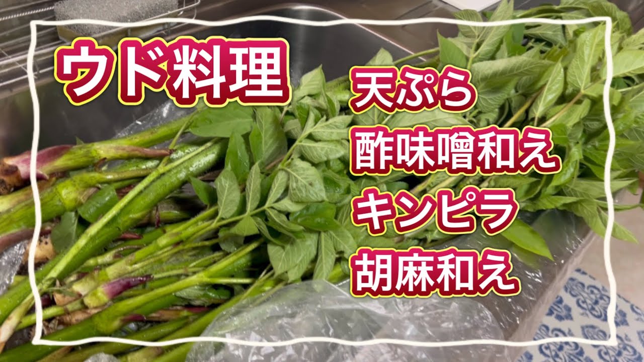 ウドのさばき方☆ウド料理  4種類のレシピ作りました