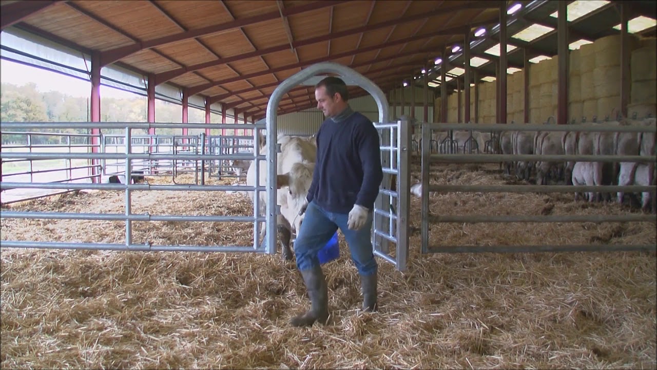 PASSAGE LARGE, OPTION POUR BARRIÈRE - JOURDAIN SAS - SOMMETS D'OR 2017
