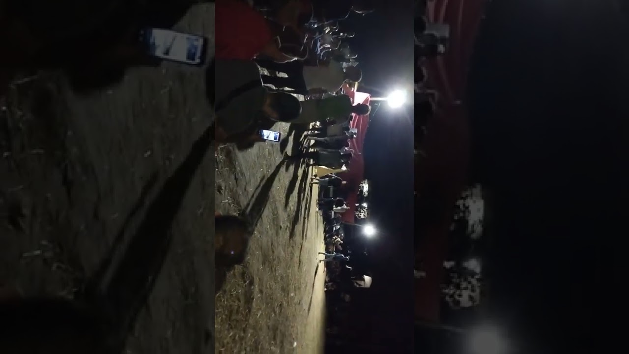 أعراس سوق اهراس 💓الشيخ لطفي حمايدية🥰