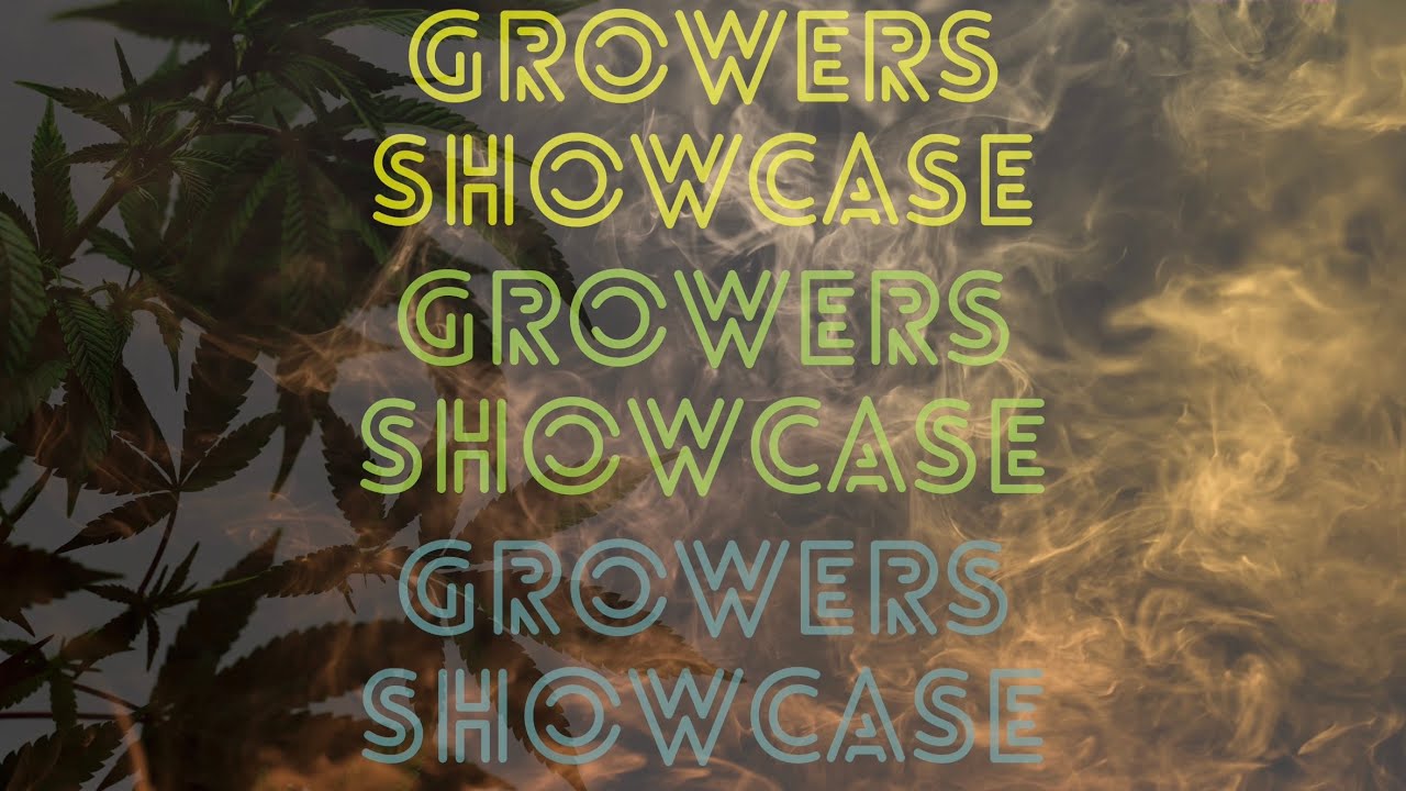 5 YouTube Cannabis Growers you should check out! (Growers showcase #31)