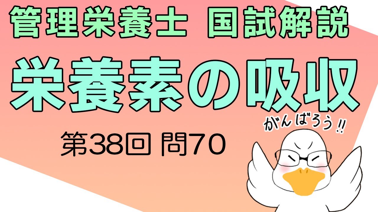 第38回 管理栄養士国家試験 解説 問70 栄養素の吸収と体内動態