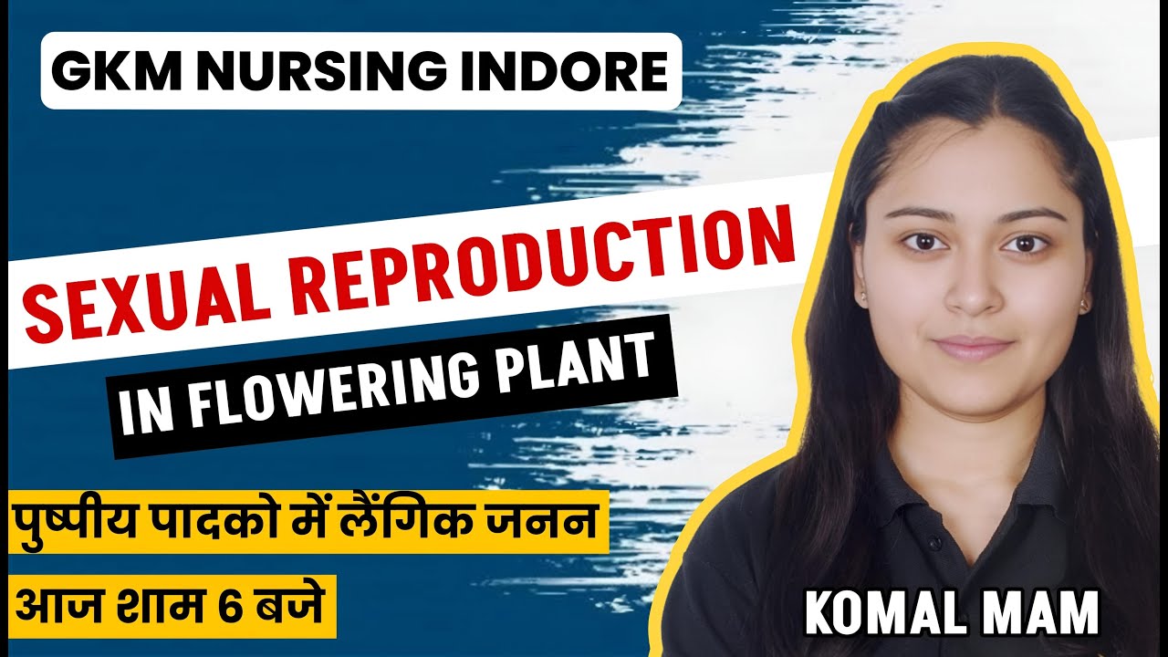 PNST EXAM 2025 | PNST ONLINE CLASS 2025 | MP PNST EXAM PREPARATION 2025 | GKM NURSING CLASSES INDORE
