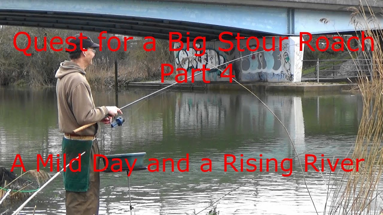 Quest for a Big Stour Roach Part 4 - A Mild Day and a Rising River