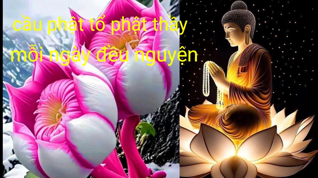 chúng Đạo mầu  đang phát trực tiếp!