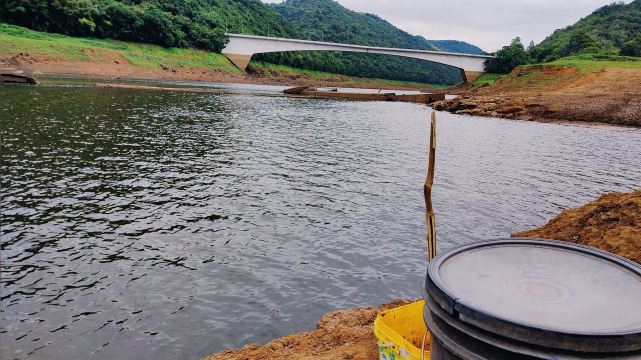 MUITO PEIXES RIO BAIXO SERÁ QUE DEU PEIXE RIO PELOTAS RS