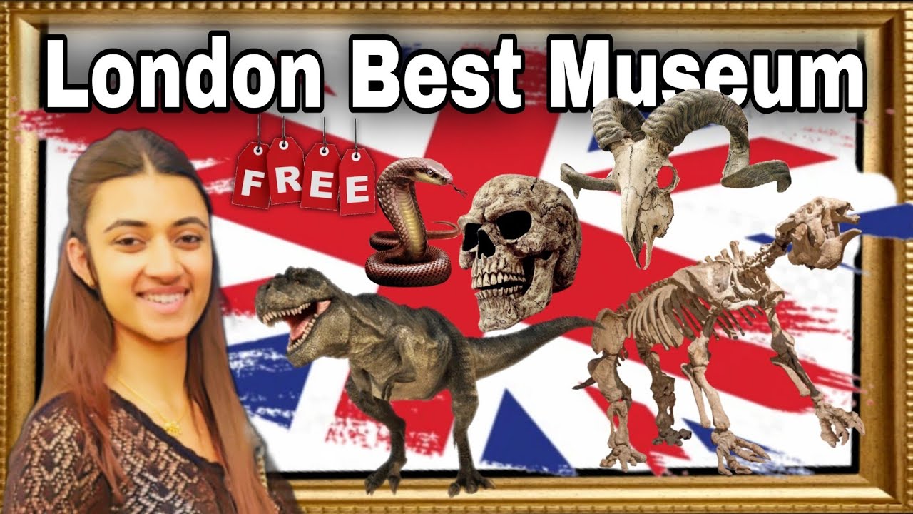 National Museum - London One Of The Best Museum 👌  #London #UK #Vlog #britishpunjabi
