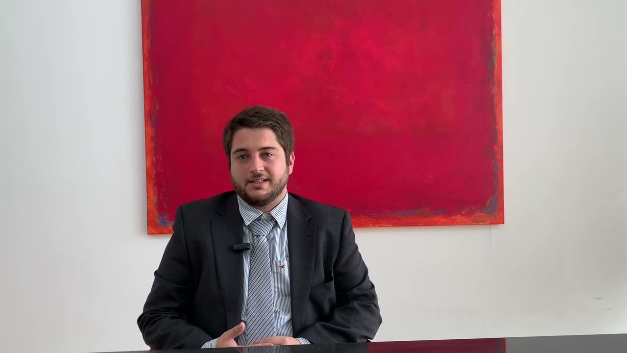 Proceso Monitorio