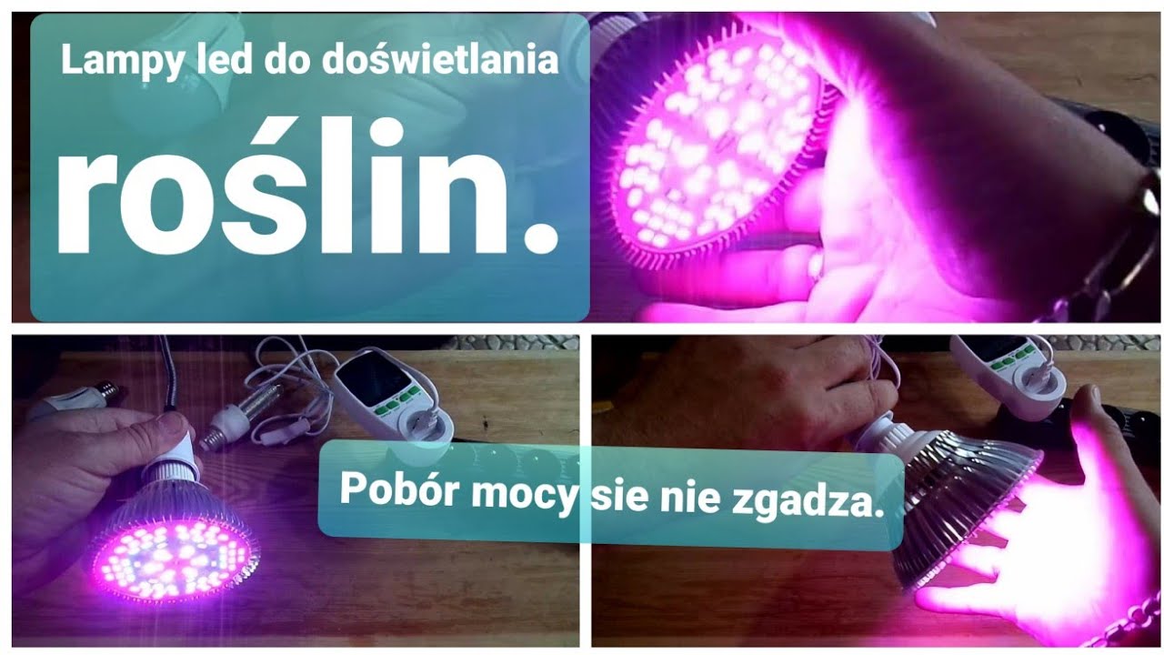 Odc 1130-Film od Radka. Obejrzyj zanim kupisz LED do roślin🌱. Nie daj się oszukać❌ Led grow..