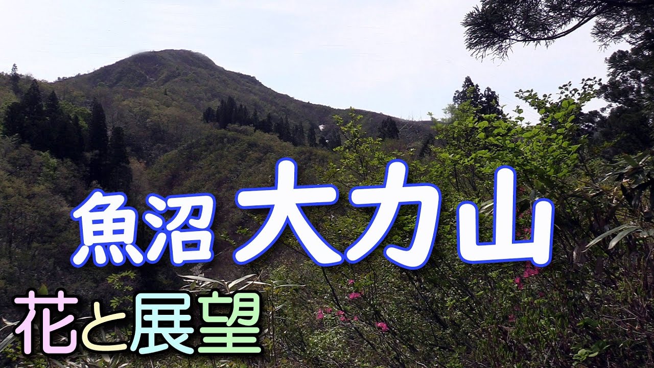 大力山から城山。魚沼の花と展望の縦走路。