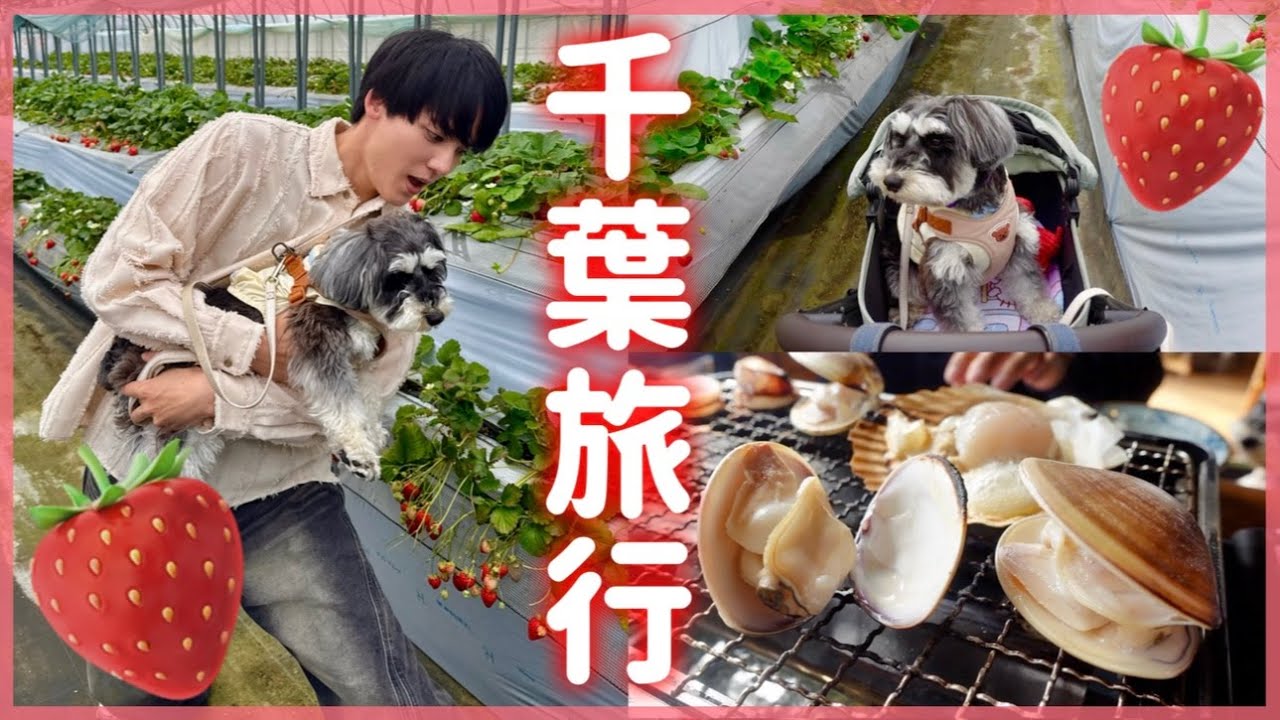 🐶【千葉旅行VLOG】わんこといちご狩り＆浜焼きで大満喫‼️