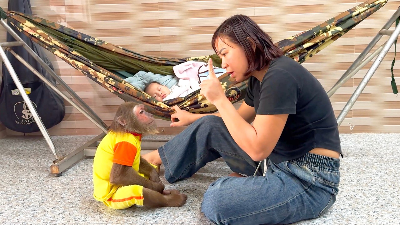 So Cute! CUTIS Listens Carefully as Mom Gives Instructions about take care baby