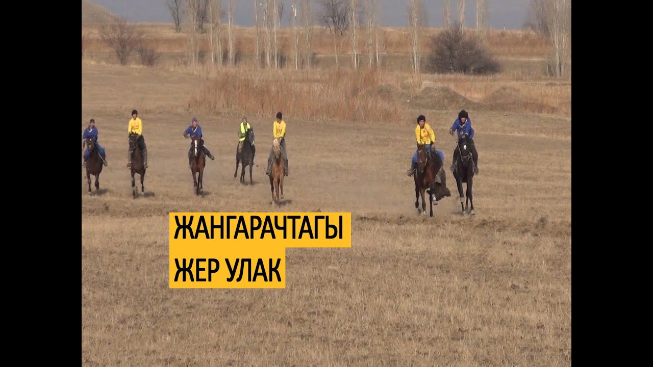Жангарачтагы жер улак/ Жышан жашарды, Тату чаңытты...