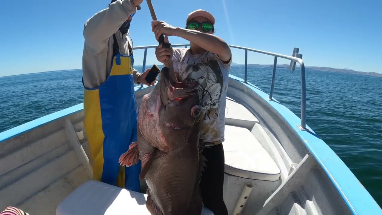 Fishing Yellowtail and Grouper in BOLA 03/24, with Joel Jr Sportfishing, Caivo jigs Day 2!