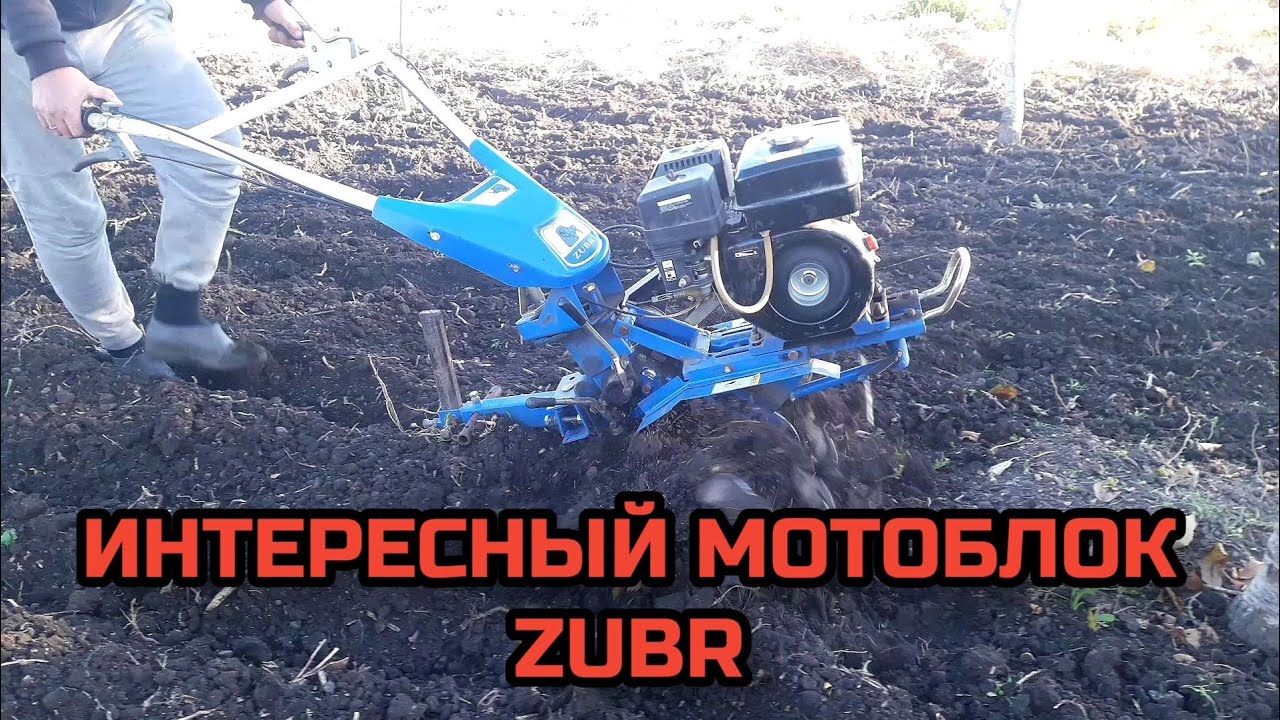 ОБЗОР МОТОБЛОКА ZUBR PS-Q70 6.5 Л.С
мотоблок зубр обзор