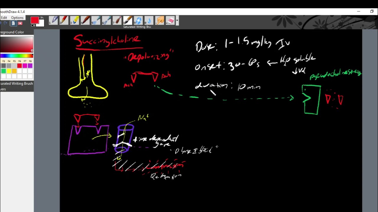 Intro to Succinylcholine