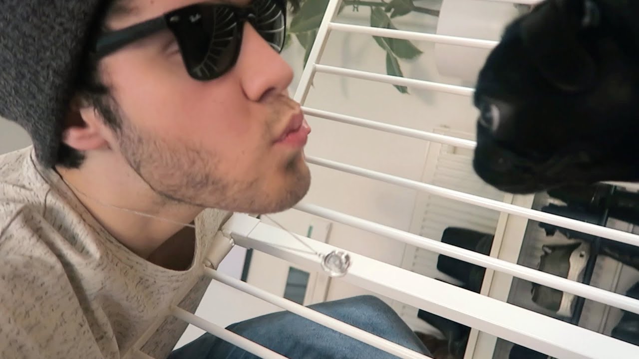 Puppy Kisses + Scotland!