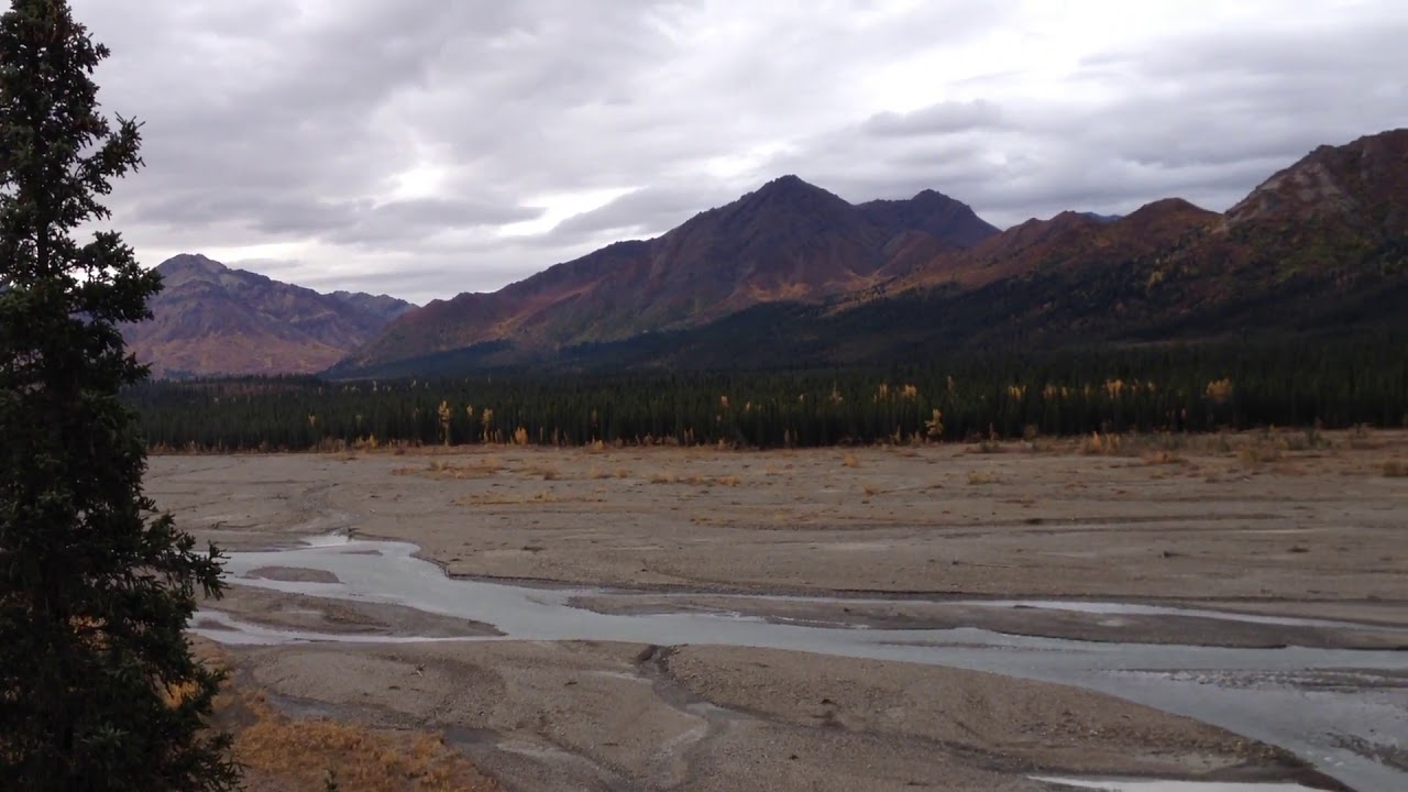 Denali National Park - Teklanika River