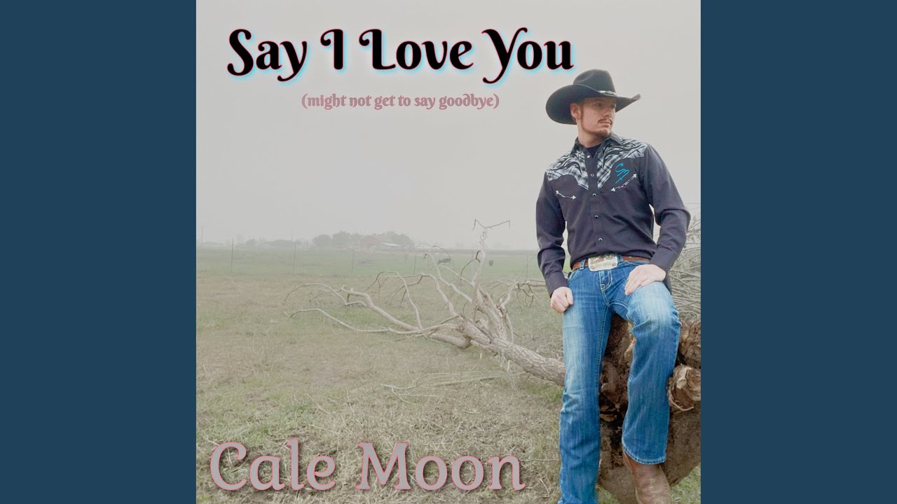 Say I Love You (You Might Not Get to Say Goodbye)