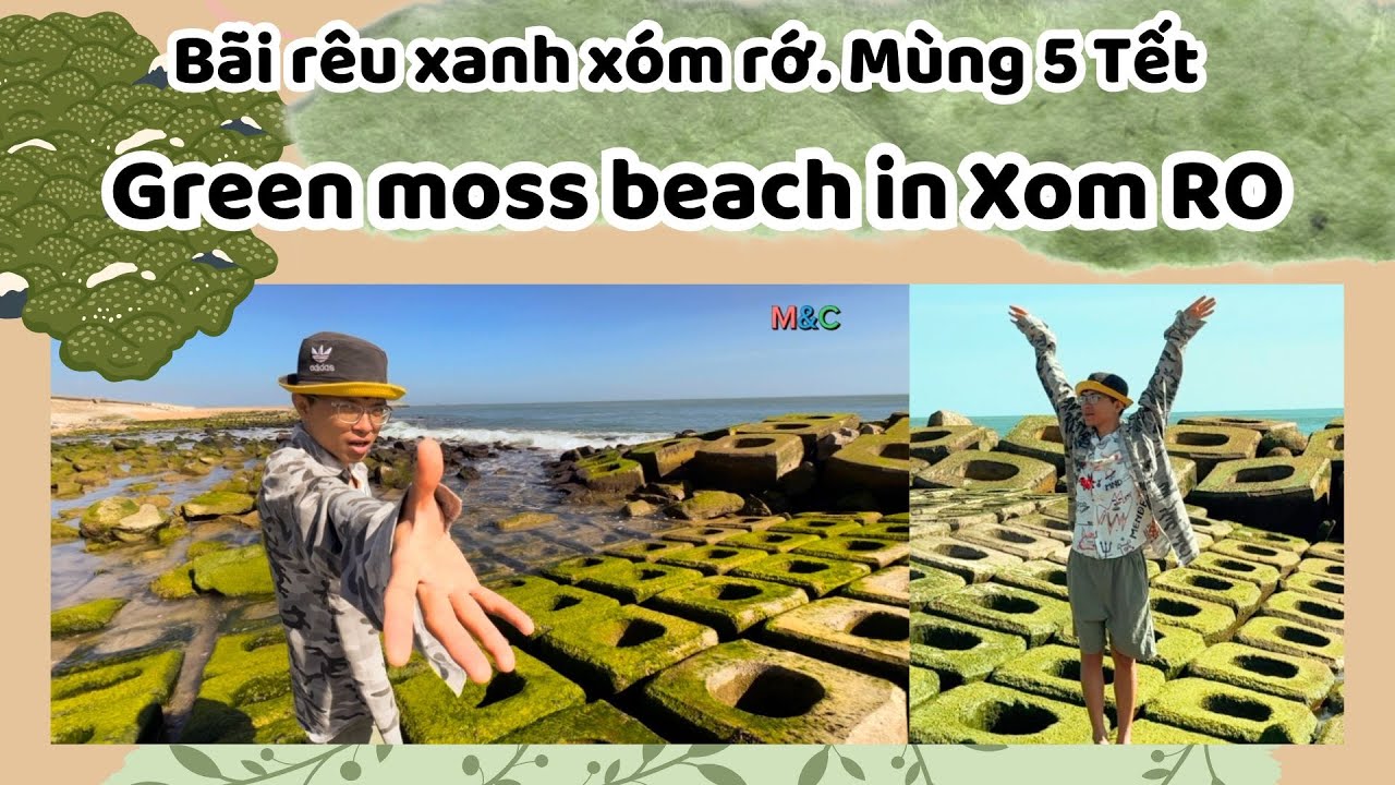 BÃI RÊU XANH XÓM RỚ. GREEN MOSS BEACH IN XOM RO #vietnamtravel