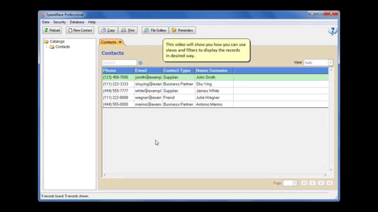 SpeedBase Training - Views & Filters