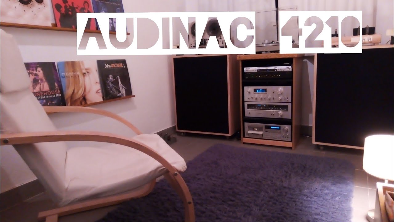 Audinac 4210 & speakers Diy