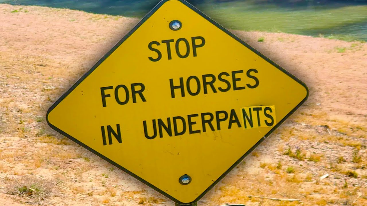 why is vandalism so funny?