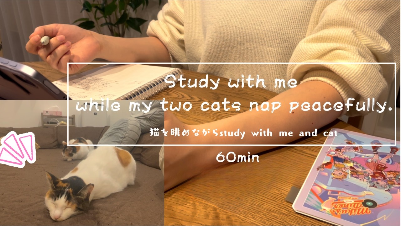 Peaceful Study Session | Cats Sleeping Nearby | 60 Min | day6