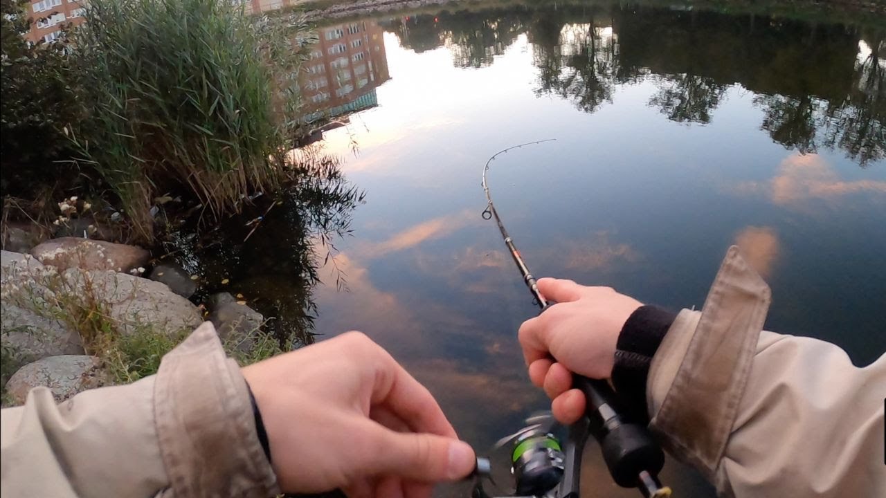 Morgonfiske i Malmö kanal - Spintails levererar igen!