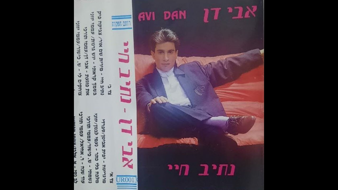 אבי דן- את פוגעת