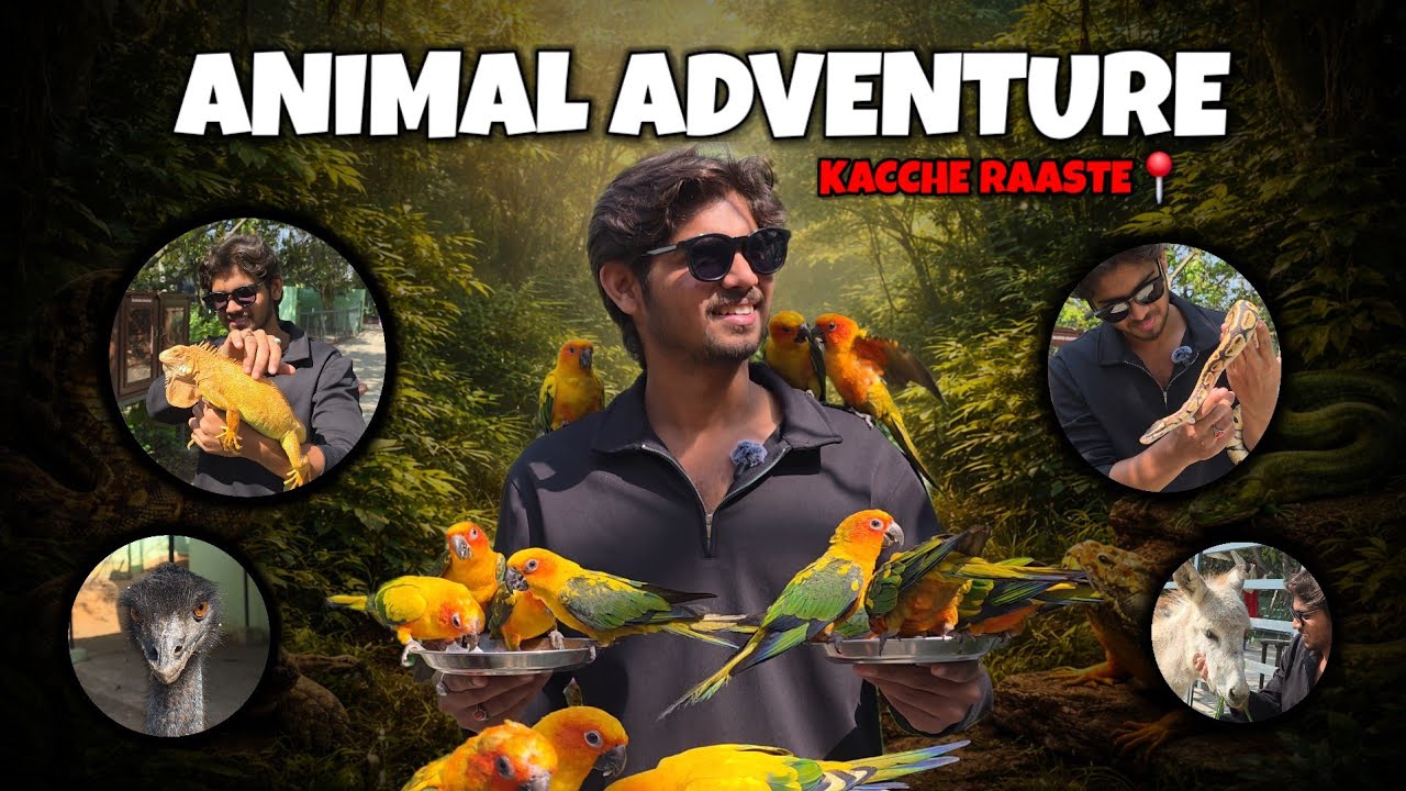 Kacche Raaste – Hyderabad📍 | Ecological Park | Animals & Birds