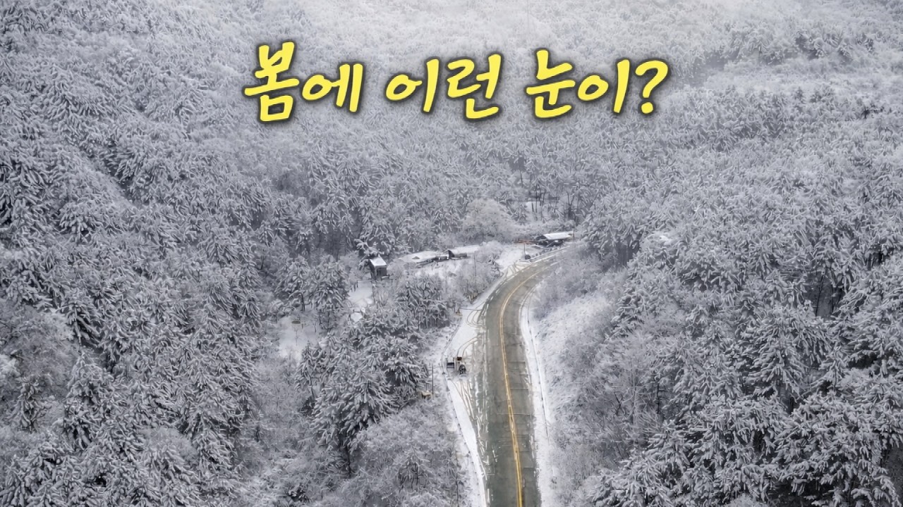 봄 준비하다가… 갑자기 폭설이 내렸습니다 #시골 #시골풍경 #봄눈 #시골피디 #시골살이브이로그 #시골살이