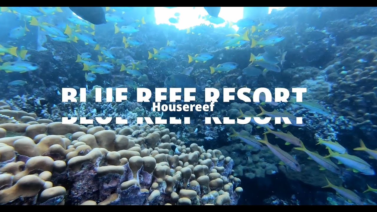Blue Reef Resort Housereef