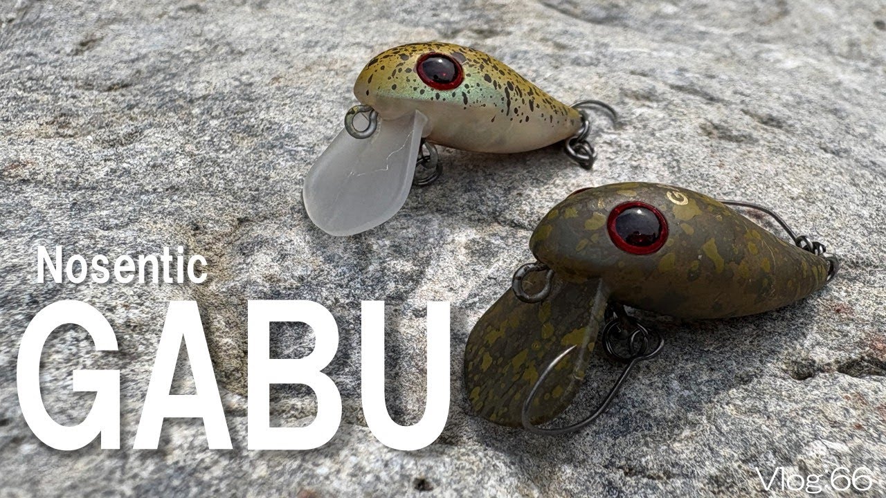 【エリアトラウト】GABU真夏でも釣れる？！【奥多摩フィッシングセンター】