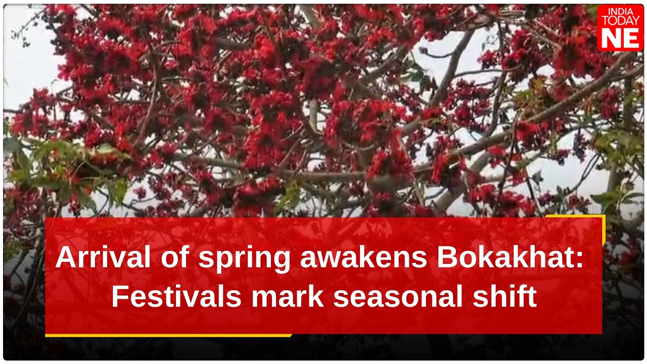 Arrival of spring awakens Bokakhat: Festivals mark seasonal shift