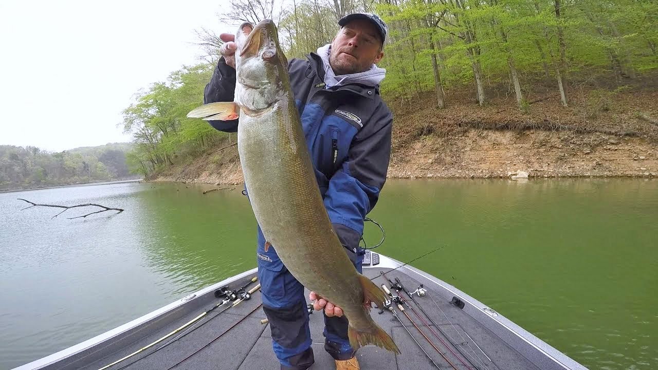 Caught a Big Muskie while bass fishing Cave Run Lake in late April